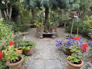 Photo 16- click for photo gallery